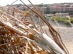 Sexy about the beach