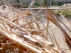 Sexy about the beach