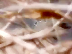 Sexy about the beach