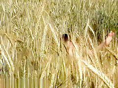 Bh 4387 Ps12 1024k