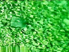 Bh 3652 Ks01d 1024k34370445751