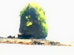 African Hottie Pussy Banged By White Cock On Beach