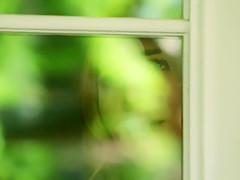 Classy Teen Fucking And Sucking Outdoors