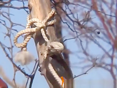 African Slave With Big Tits And A Juicy Booty Is Ready For