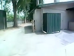 Ass For Crash W Madi Ivy