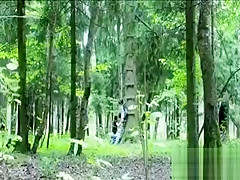 Adventure Blowjob In The Forest