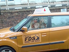 Ebony Gets Free Driving Lessons For Sex