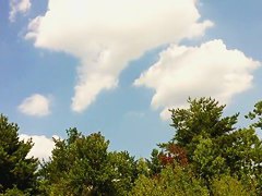 Naked people enloyong the sun on the beach