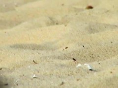 Cute lesbian teens enjoying sunbathing at nudist beach