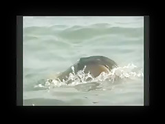 I Am A BeachVoyeur49 BVR