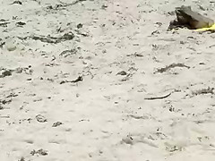 Miami Girls are HOTTTT!