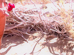 Fee Maspalomas Stranger 2_720p