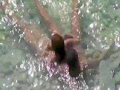 Sex in the water got caught by a voyeur