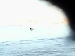 Wild fuck in the water caught by a voyeur