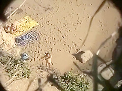 Nudists are horny at the beach