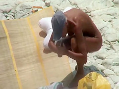 Prettiest flower on the beach