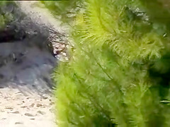 Aroused girl rubbing her pussy on a beach