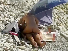 All kinds of lovely asses on beach