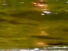 Stones on a naked beach woman