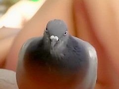 Spread legs reveal a perfect pussy