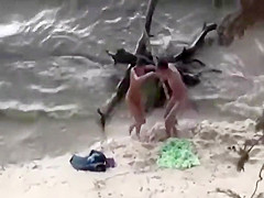 Wild plowing fully spied on a beach