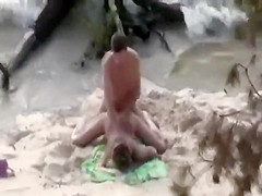 Wild plowing fully spied on a beach