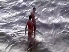 Wild plowing fully spied on a beach