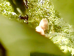 Bh 19297