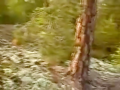 Jeune nana sexy tringlée dans la foret