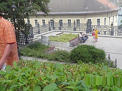 Natural Busty Slave Banged In Public