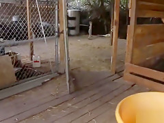 Lesbian Ass Massage The Two Country Dolls Give Our City Girl