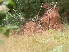 German Milf Interracial Outdoor Banged