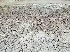 Skinny 'Eliza Jane' masturbates, POV fucks huge dragon dildo