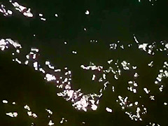 Girl sucks dick her boyfriend in the surf at a public beach