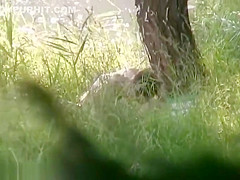 Amateur Girls Voyeur Intercourse In Public Place