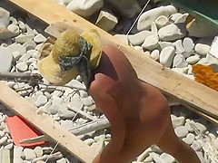 Naked Beach Volleyball Voyeur Pt 2