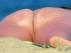 Sandfly Lust For Beachlife - Season 2017