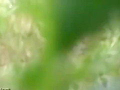 BEACHVOYEUR 261