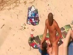 theSandfly Voying the Sexhibitionists!