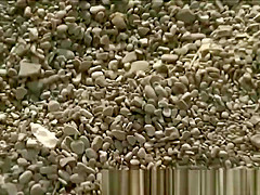 Couple Horny Sex At Nude Beach Hidden Camera