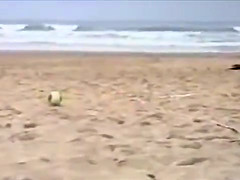 Beach voyeur 1