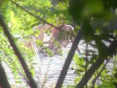 Public Russian Beach Couple Sex Hidden Cam Voyeur