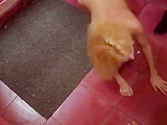 Naked blonde disgraced on the beach