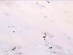 Horny Couples Fuck Fest Nude Beach Recorded By Voyeur