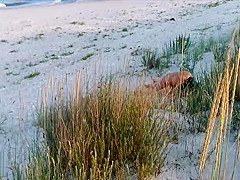 Amateur couple got caught having sex on the beach by voyeur.