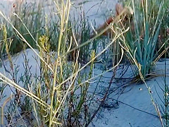 Amateur couple got caught having sex on the beach by voyeur.