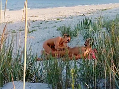 Amateur couple got caught having sex on the beach by voyeur.
