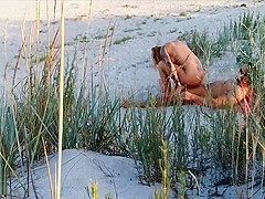 Amateur couple got caught having sex on the beach by voyeur.