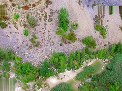 Nude beach sex, voyeurs video taken by a drone