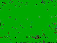 Nude beach horny couples Voyeur Video HD Spycam P 02